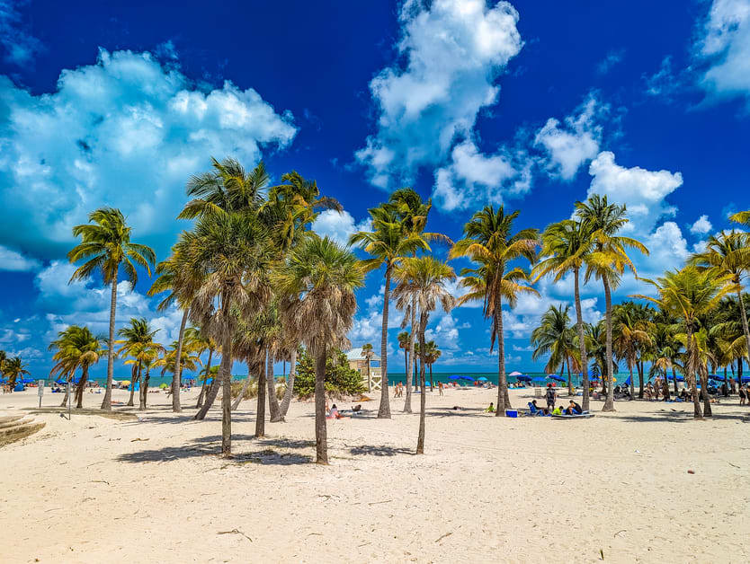 praia de Crandon Park em Key Biscayne em Miami