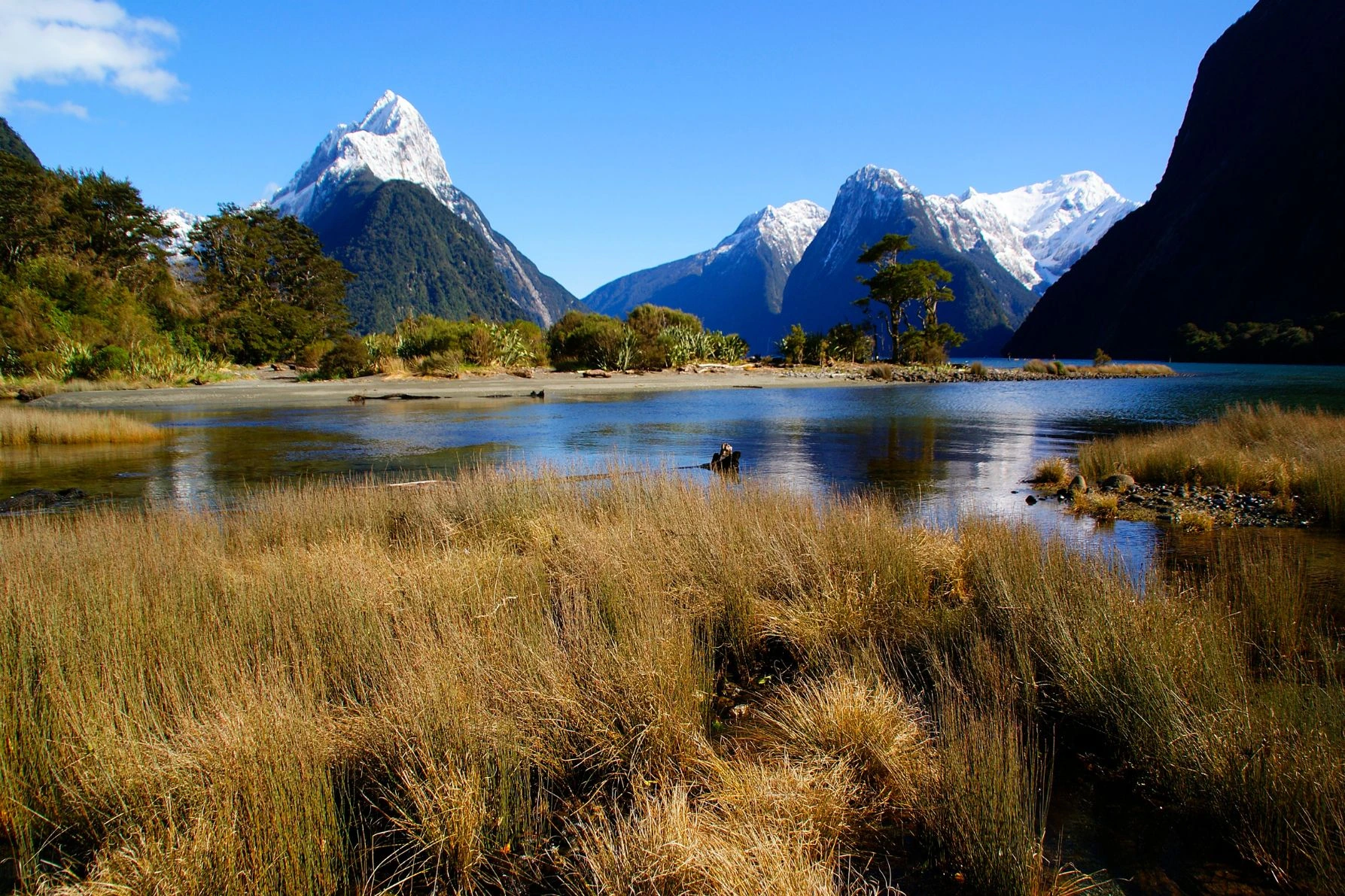 Milford Sound na Nova Zelandia
